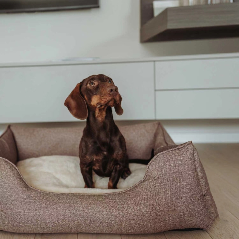 Waterproof Dog Bed Medium Foam Sofa with Removable Washable Cover