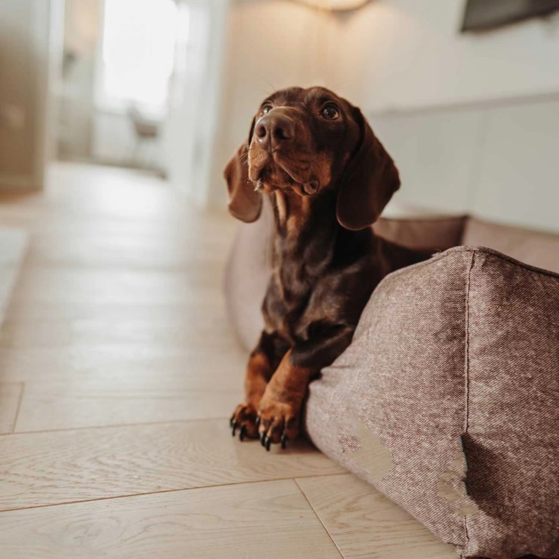 Waterproof Dog Bed Medium Foam Sofa with Removable Washable Cover