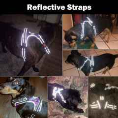 Wholesale No Pull Dog Harness Reflective Adjustable Vest with a Training Handle