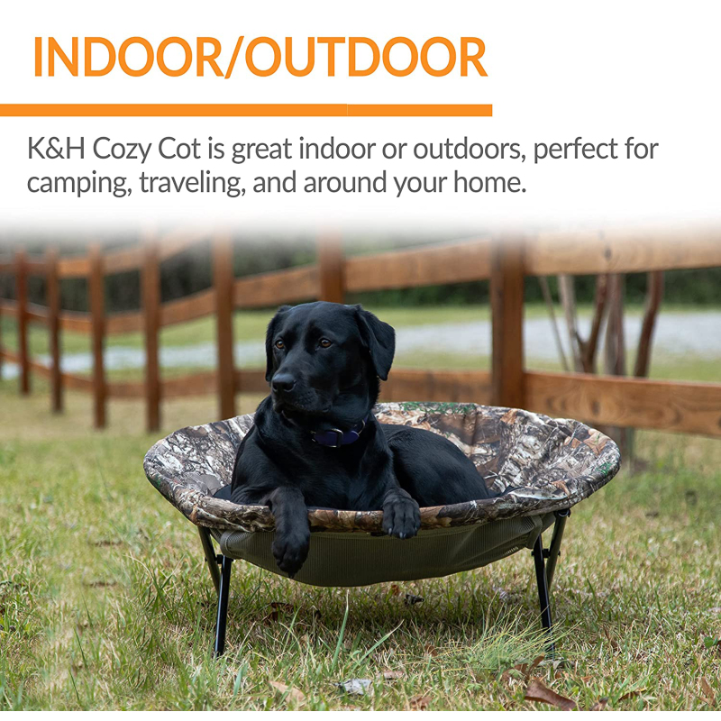 Pet Chair Pet Saucer Chair Folding Easy To Move Use For The Dog Enjoy The Relax Moment