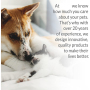 Pet Chair Pet Saucer Chair Folding Easy To Move Use For The Dog Enjoy The Relax Moment