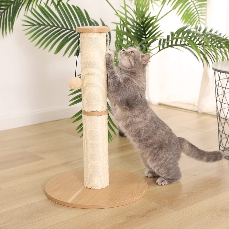 Cat Scratching Post and Cat Tree