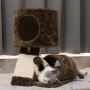 Cat Activity Tree Bed Scratching Post Toys Pet Furniture Scratcher Play House Condo