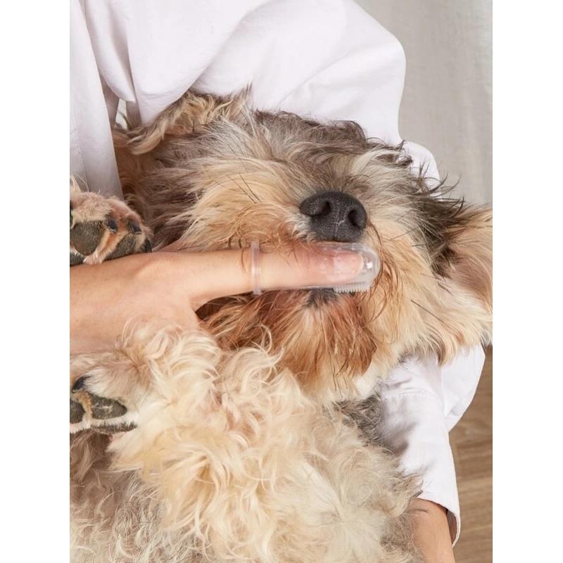 Portable Dog Finger Toothbrush With Cute and Useful For Pet To Clean the Teeth