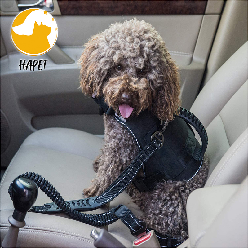 Dog Leash with Comfortable Dual Padded Handles for Control Safety Training