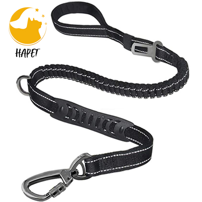 Dog Leash with Comfortable Dual Padded Handles for Control Safety Training