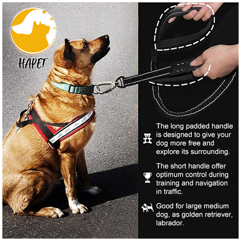 Dog Leash with Comfortable Dual Padded Handles for Control Safety Training
