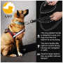 Dog Leash with Comfortable Dual Padded Handles for Control Safety Training