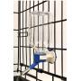 No-Drip Water Bottle/Feeder For Small Animals