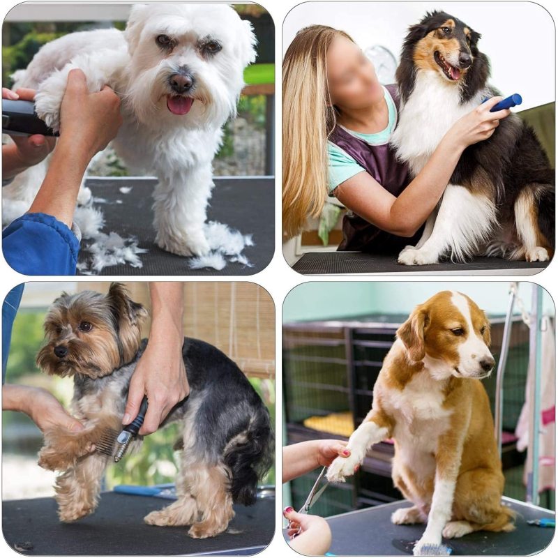 Large Dogs Adjustable Pet Grooming Table Height Heavy Duty Portable Trimming Drying
