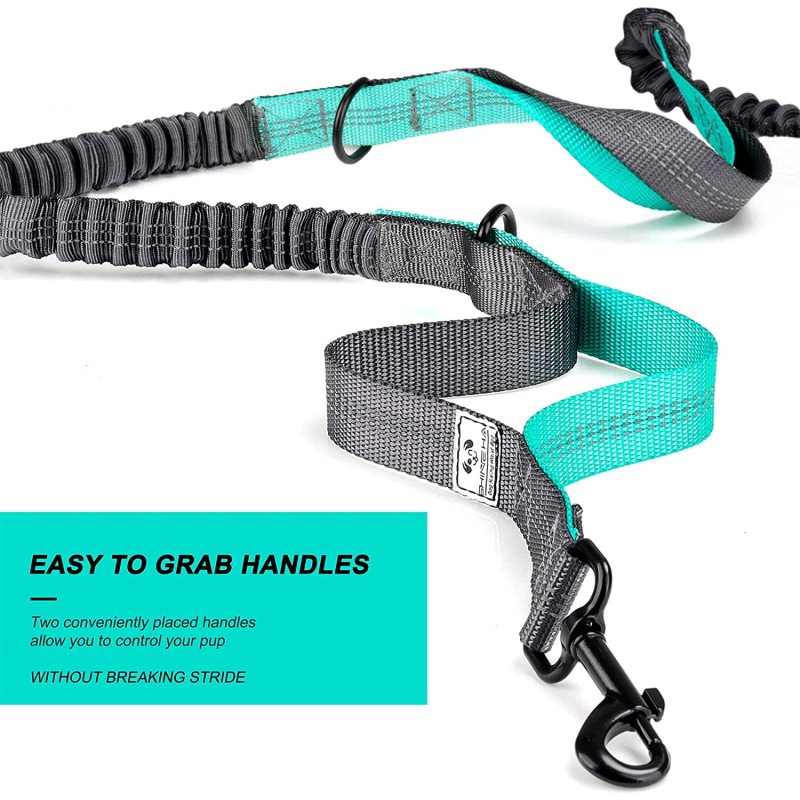 Reflective Stitching Retractable Hands Free Dog Leash for 2 Dogs Adjustable Waist Belt
