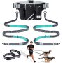 Reflective Stitching Retractable Hands Free Dog Leash for 2 Dogs Adjustable Waist Belt