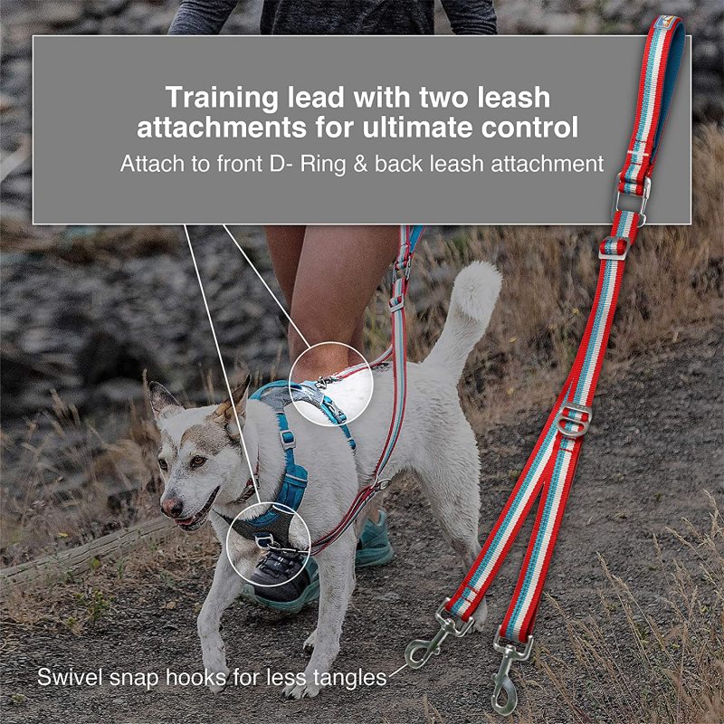 Adjustable Reflective Tangle-Free Control Point Leash for Double Dog