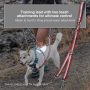 Adjustable Reflective Tangle-Free Control Point Leash for Double Dog