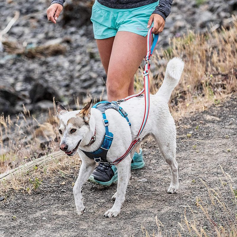 Adjustable Reflective Tangle-Free Control Point Leash for Double Dog