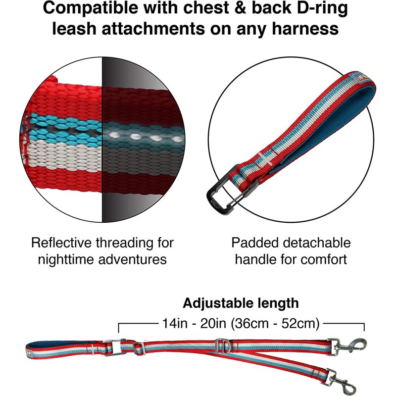 Adjustable Reflective Tangle-Free Control Point Leash for Double Dog