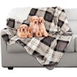 Gray Plaid