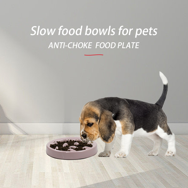Cat Slow Feeder Bowl Pet Feeder Wet Food Slow Feeder for Cats and Dogs