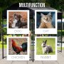 Outdoors Pavilion Pen Heavy Duty Pet Crates Large Wire Crate