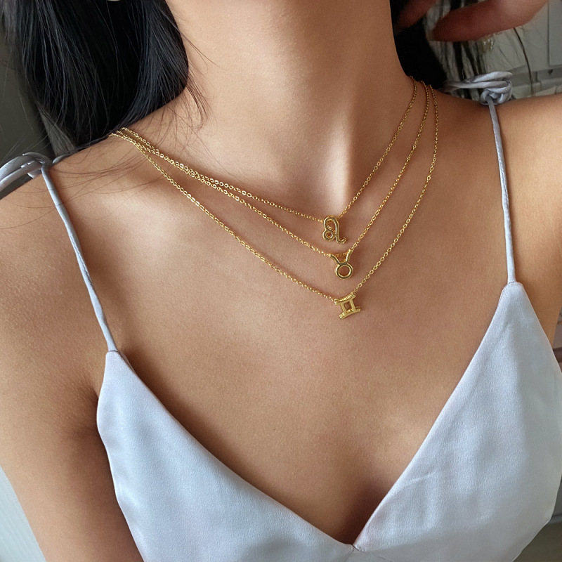 Trendy Minimalism Stainless Steel Chain Necklace 14k Gold Plated Necklace Stainless Steel Astrology Necklace