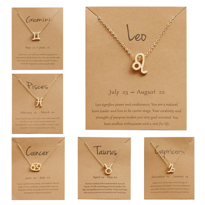 Trendy Minimalism Stainless Steel Chain Necklace 14k Gold Plated Necklace Stainless Steel Astrology Necklace