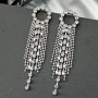 925 Silver Needle Rhinestone Exaggerated Personality Zircon Flash Diamond Long Tassel Earrings for Women