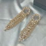 925 Silver Needle Rhinestone Exaggerated Personality Zircon Flash Diamond Long Tassel Earrings for Women