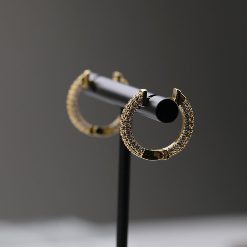 New 2021 Trendy Micro Insert Zirconia Gold Brass Design Charm Jewelry Circle Hoop Earrings for Women and Girl