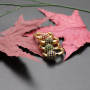 New 2021 Trendy Micro Insert Zirconia Gold Brass Design Charm Jewelry Round Globe Beads Hoop Earrings for Women and Girl