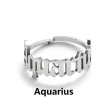 S Aquarius