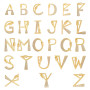 Hot Sale Crystal CZ Zircon Micro Pave Alphabet Letter Carabiner Clasp Pendant for Necklace