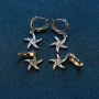 New Trendy Micro Insert Zirconia Designer Charm Gold Silver Jewelry Six-pointed Star Hoop Earrings for Women and Girl