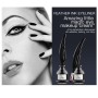 Factory Long Lasting Black Waterproof Eyeliner Gel with Brush Tools Pigments Gel low MOQ Eye Liner Cream