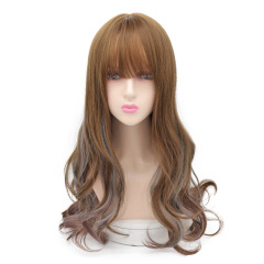 Long Wet And Wavy Human Hair Synthetic Lace Deep Curly Wigs