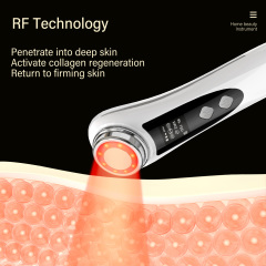 Professional Frequency Skin Massage Beauty Instrument