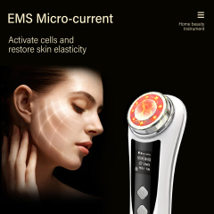 Professional Frequency Skin Massage Beauty Instrument