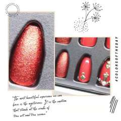 Salon Supplies Private Label Press On Nails Tips False Nails With Glue Artificial Nail