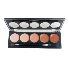 High Quality Waterproof Private Label Make Up Concealer