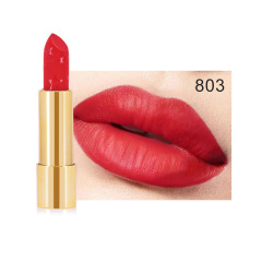 26 Colors Cruelty-Free Nourishing Velvety-smooth Long-Lasting Moisturizing Private Label Matte Lipstick