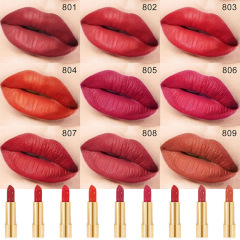 26 Colors Cruelty-Free Nourishing Velvety-smooth Long-Lasting Moisturizing Private Label Matte Lipstick