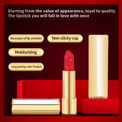 26 Colors Cruelty-Free Nourishing Velvety-smooth Long-Lasting Moisturizing Private Label Matte Lipstick