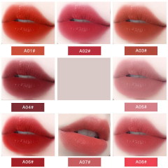 Wholesale Moisturizing Cosmetics matte lipstick manufacturers Vegan Lipstick