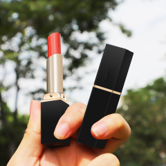 Wholesale Moisturizing Cosmetics matte lipstick manufacturers Vegan Lipstick