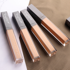 wholesale liquid concealer and moisture smooth private label full coverage makeup conceal high definition girl pro concealer