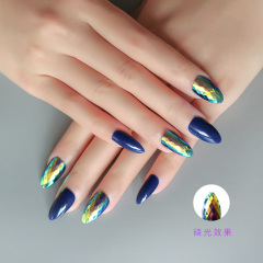 Wholesale Nail Salon Professional Products False Nail Full Cover Private Label Press On Nails
