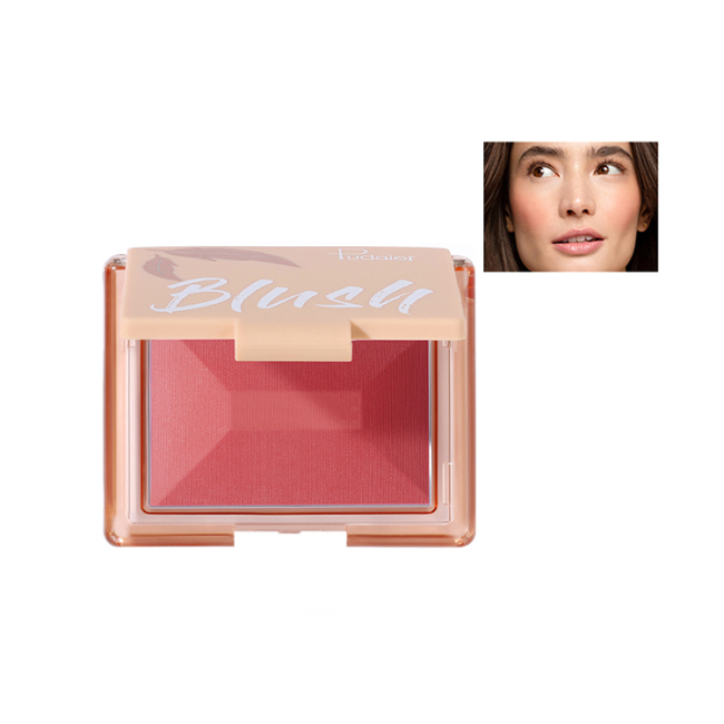 Delicate Smooth Enhance Complexion Matte Mini Cream Blush Private Label