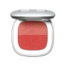 Two-Color Private Label Luxury Design Custom Cosmetic Eye Shadow