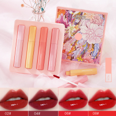 Wholesale Moisture Cosmetics Premium Matte Lip Gloss Kit