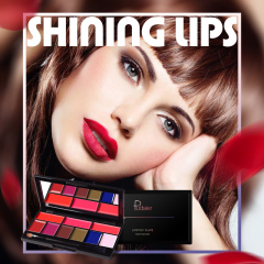 Wholesale Custom High Pigment Private Label Makeup 9 Colors Lip Cream Matte Lipstick Palette