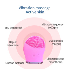 Wholesale Clean Pores And Smooth Skin Silicone Facial Cleansing Brush